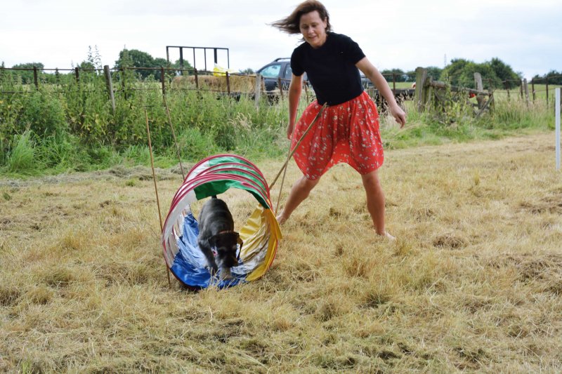 Agility Course 03